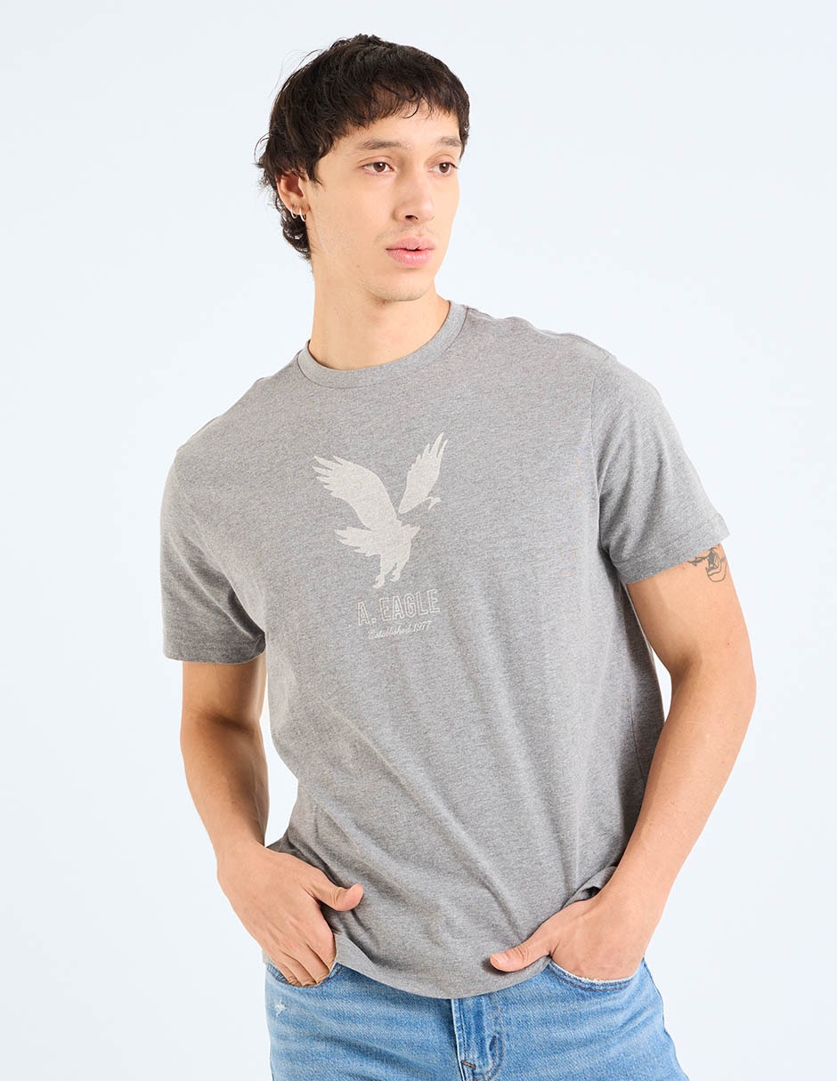 Playera American Eagle cuello redondo para hombre