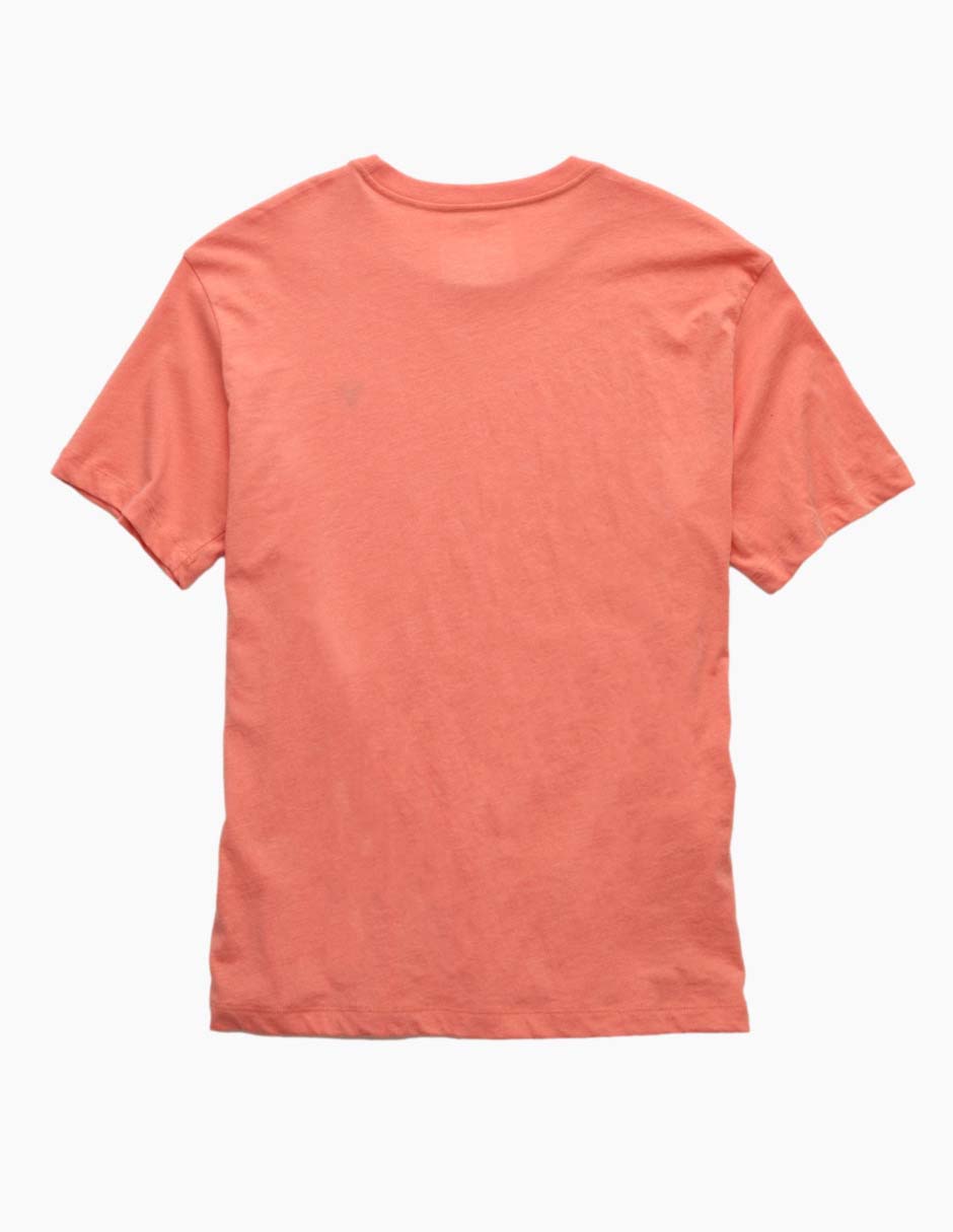 Playera American Eagle cuello redondo para hombre